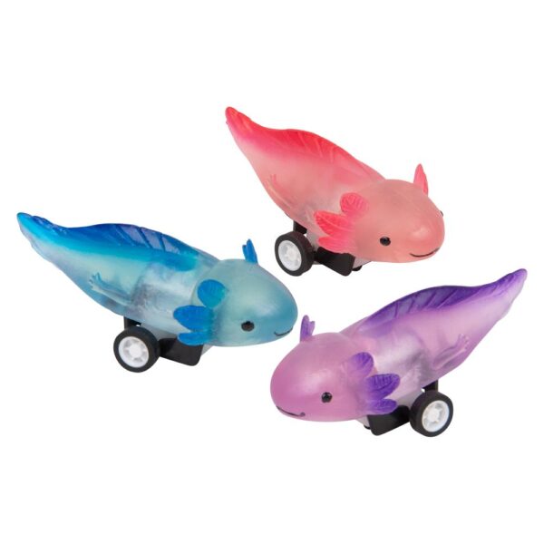 (T) 2.5" PULL BACK AXOLOTL 24CT - Image 2