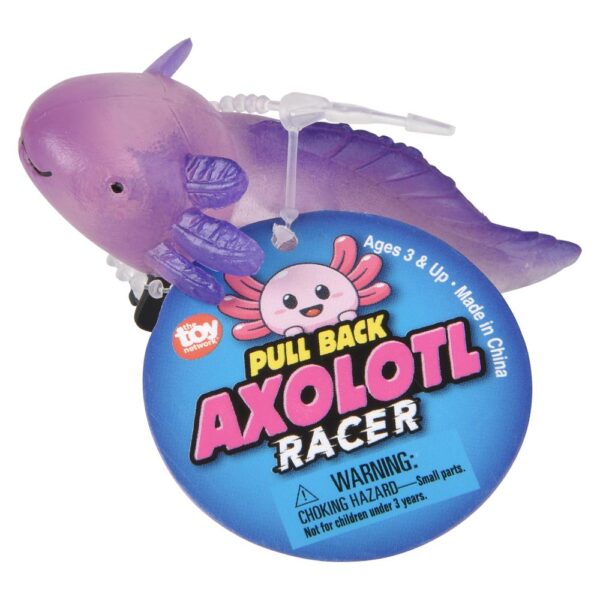 (T) 2.5" PULL BACK AXOLOTL 24CT - Image 4