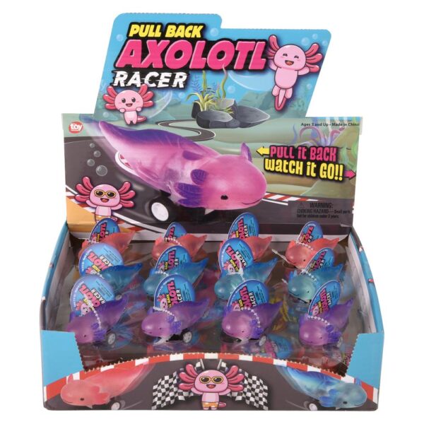 (T) 2.5" PULL BACK AXOLOTL 24CT - Image 5