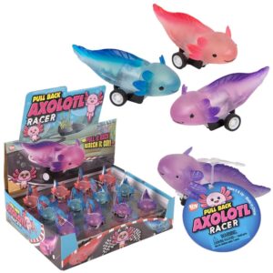 (T) 2.5" PULL BACK AXOLOTL 24CT