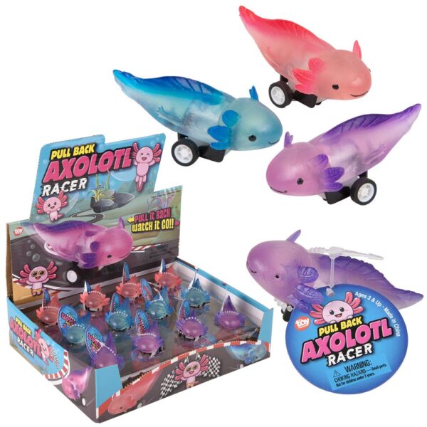 (T) 2.5" PULL BACK AXOLOTL 24CT